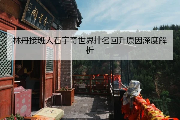 林丹接班人石宇奇世界排名回升原因深度解析